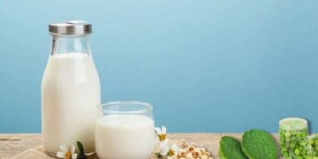 Cách nấu sữa hạt sen thơm ngon bổ dưỡng